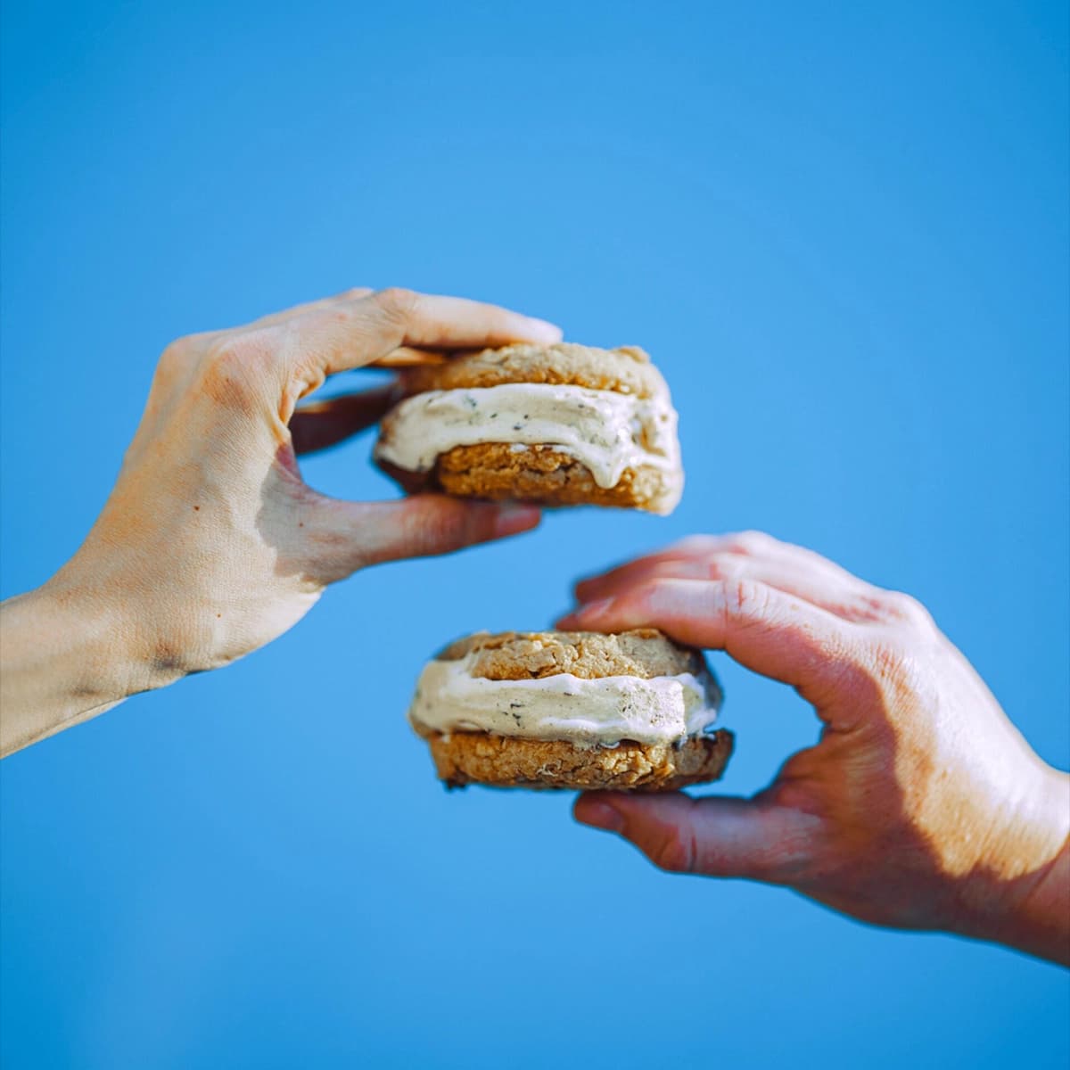 Double Oat “Nice” Cream Sandwiches
